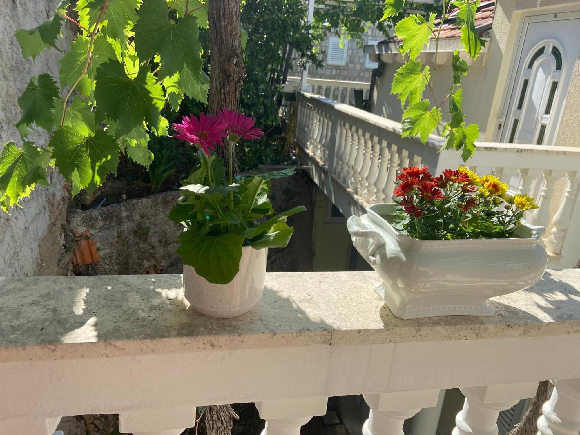 Slavica Apartment *